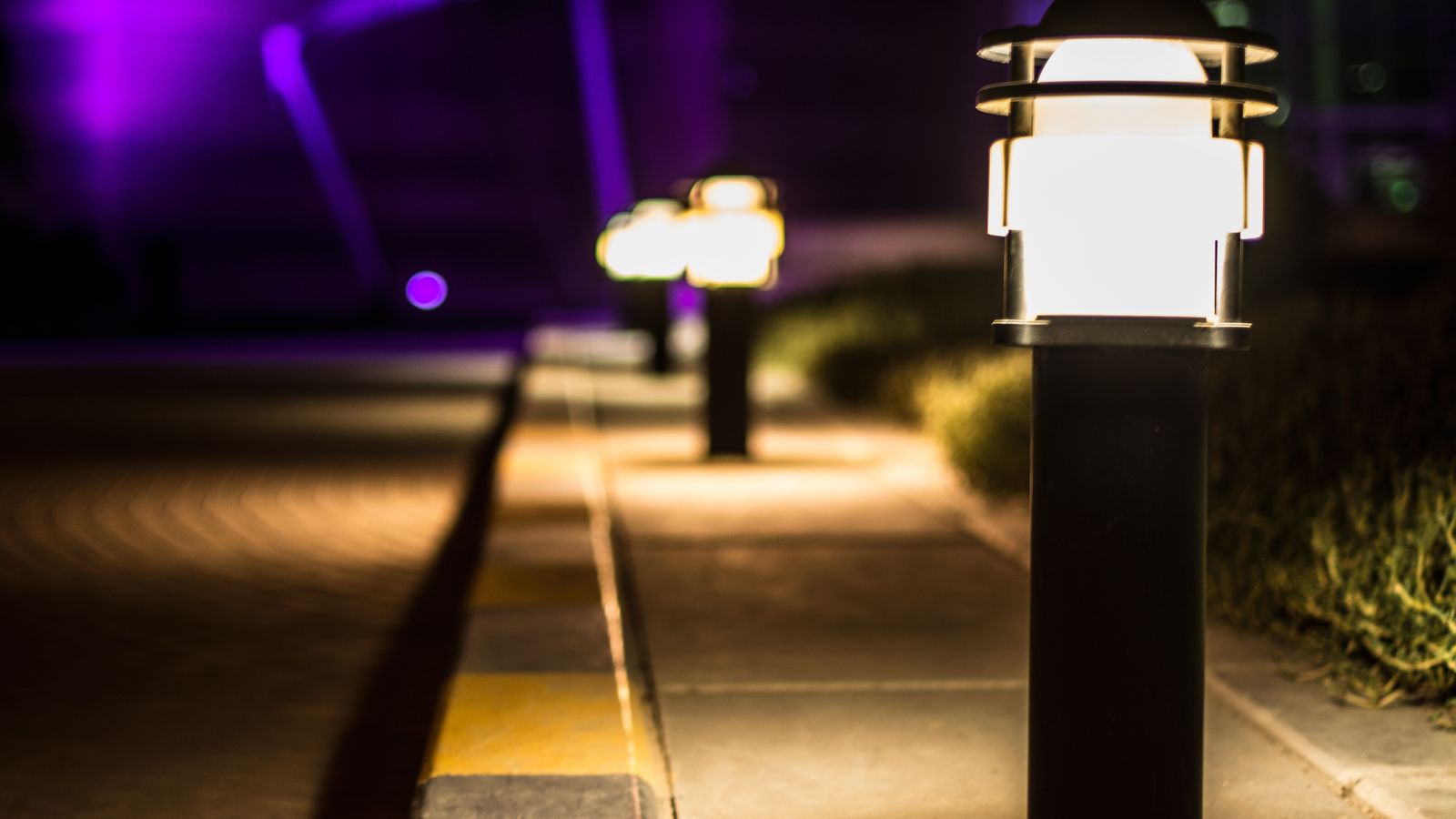 Row of outdoor pathway lights illuminating a garden walkway at dusk