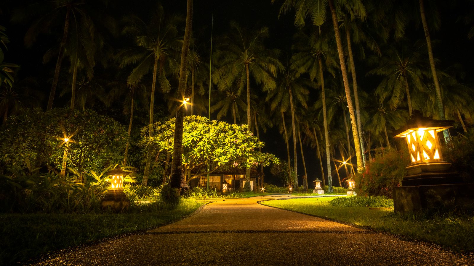 Small garden path lined with low-profile pathway lights at dusk
