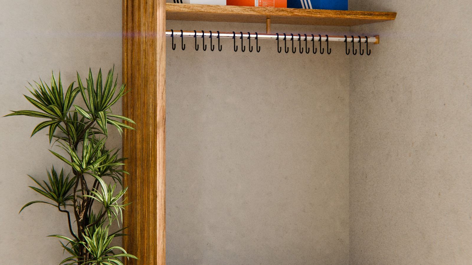 Modern closet interior with sneakers arranged neatly beside a potted plant